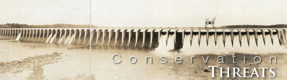 Mussels - Threats banner
